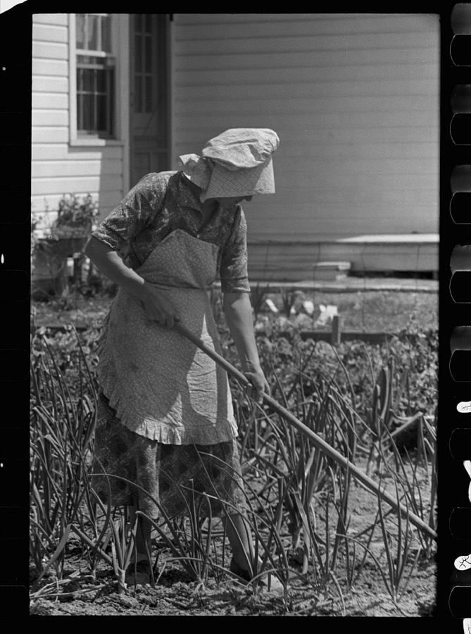 Wife of homesteader in garden, Scioto Farms, Ohio