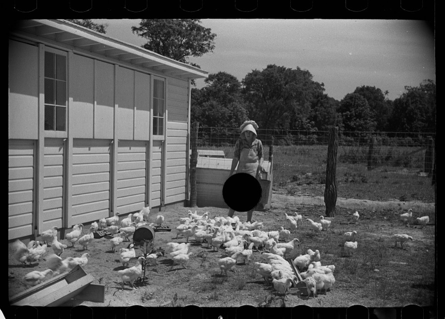 Wife of homesteader in garden, Scioto Farms, Ohio