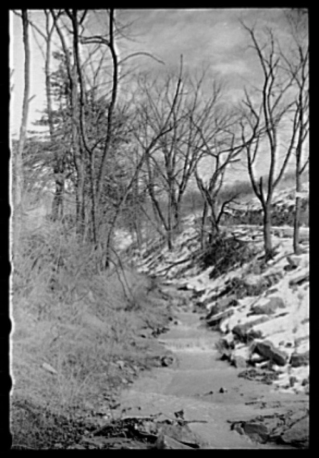 Melting snow fills up brook, Clermont County, Ohio