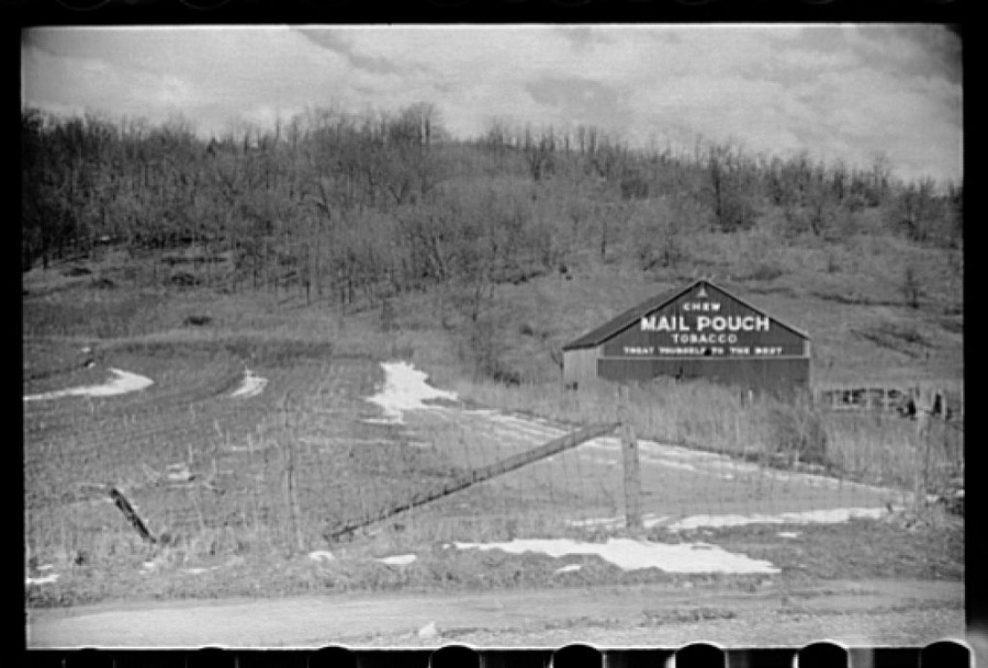 Snow melting in field, Clermont County, Ohio