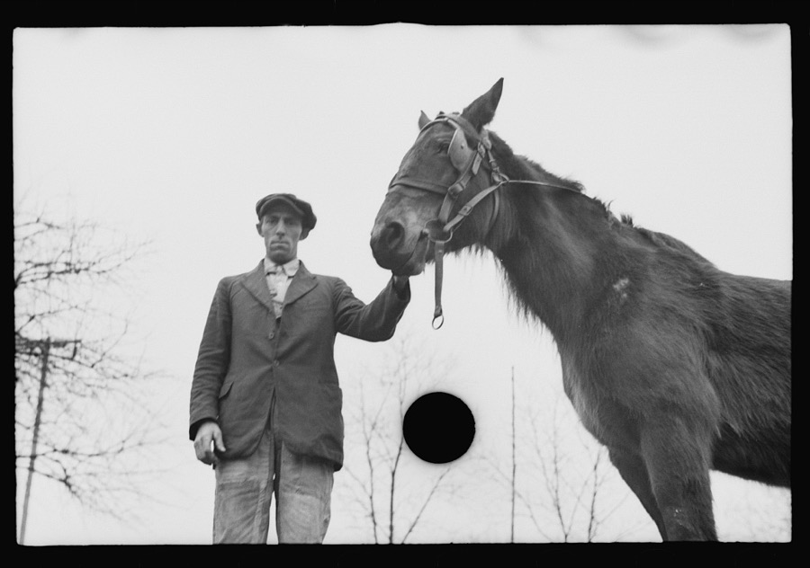 Neglected horse owned by rehabilitation client, Jackson County, Ohio