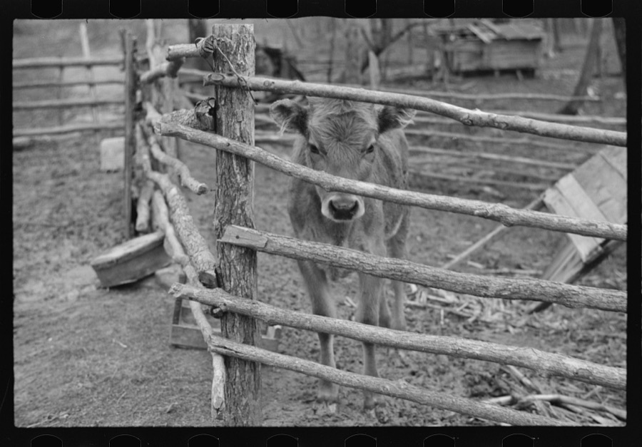 Resettlement Administration representative at door of rehabilitation client's house, Jackson County, Ohio