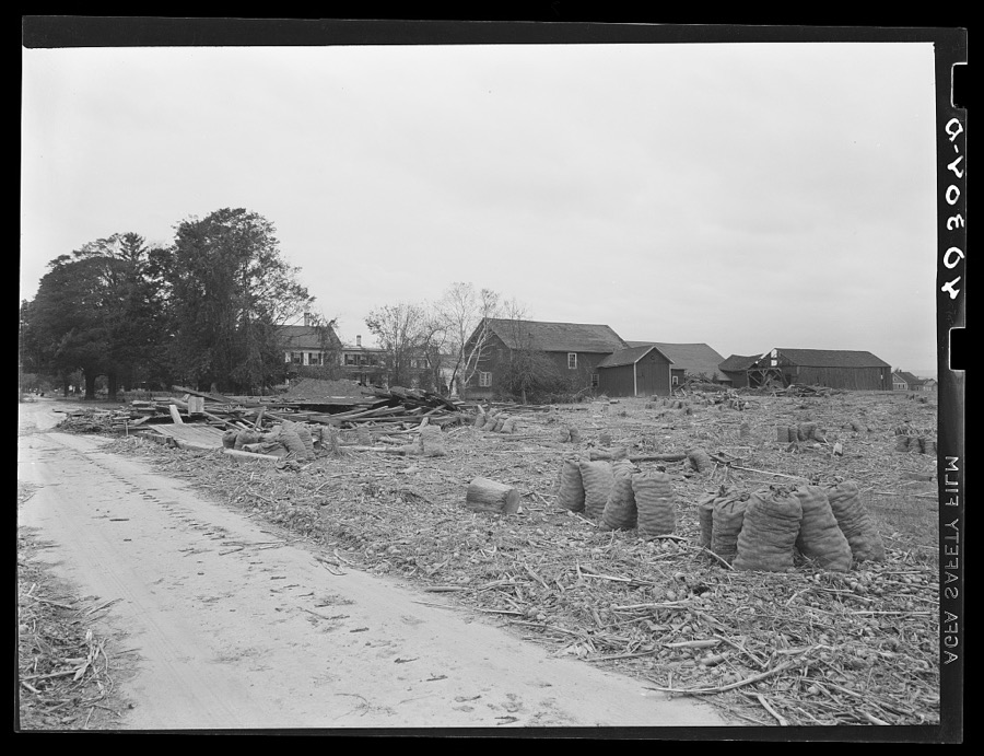 New England hurricane. Onions, corn, and a mixture of debris brought in by the Connecticut River flood near Northampton, Massachusetts