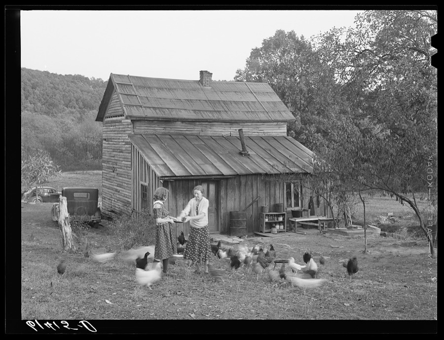 Lansing and daughter feeding chickens. They are FSA (Farm Security Administration) borrowers. Ross County, Ohio