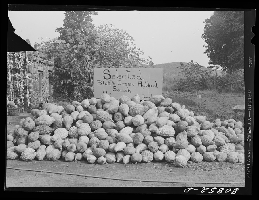 Wayside harvest market near Greenfield, Massachusetts