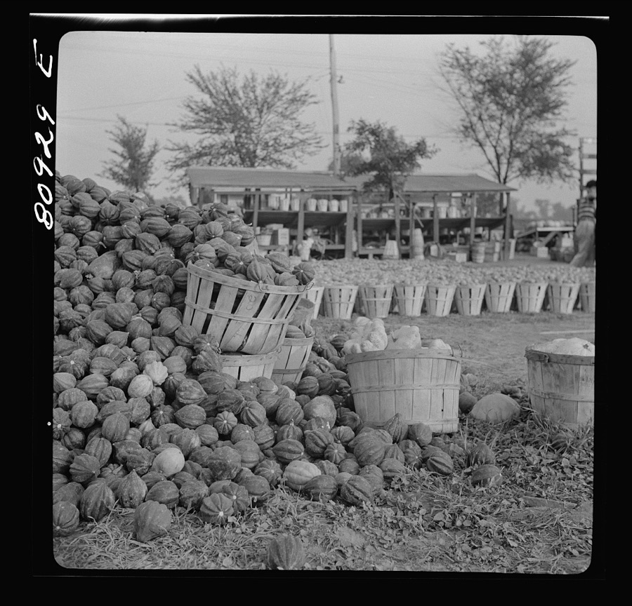 Greenfield, Massachusetts. Roadside market