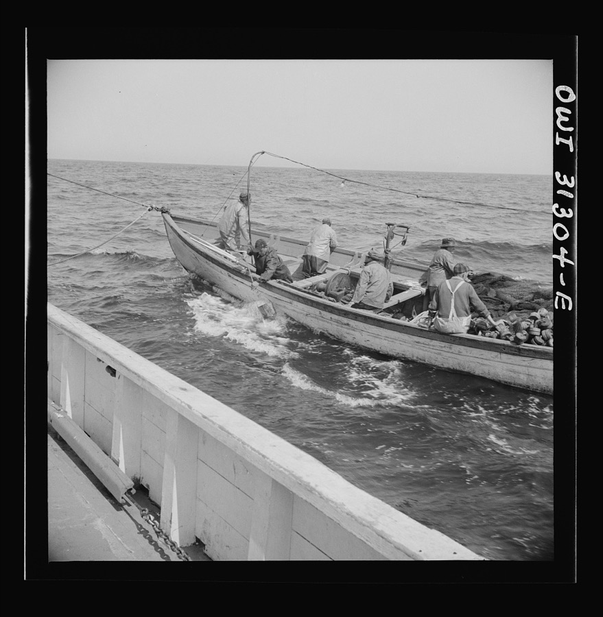 On board the fishing boat Alden, out of Gloucester, Massachusetts. Fishermen chasing a school of mackerel
