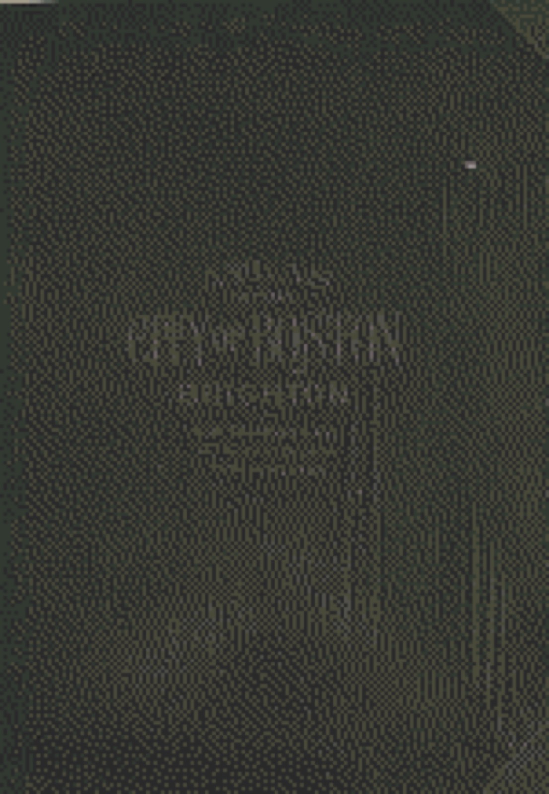 Land ownership map, 1925 - Atlas of the city of Boston, Brighton : from actual surveys and official plans