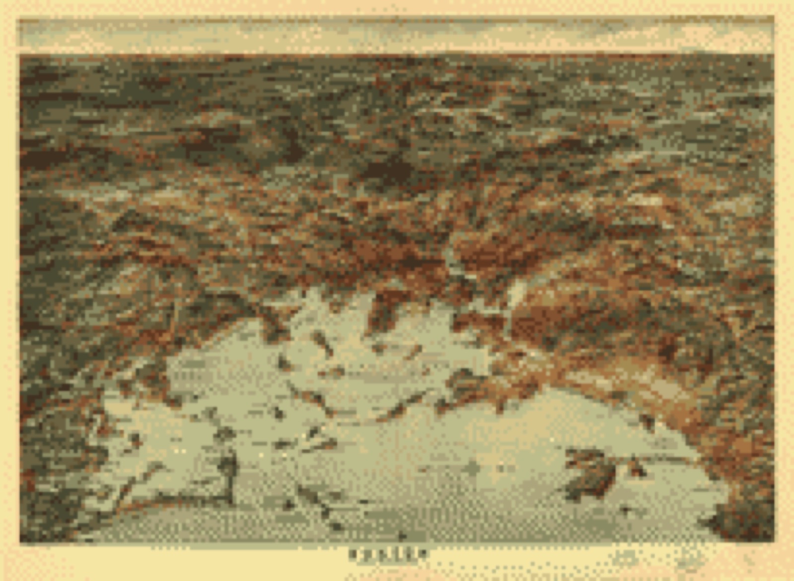 Bird's-eye view, 1905 - Boston and environs