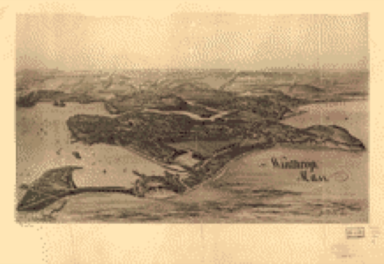 Bird's-eye view, 1894 - Winthrop, Mass