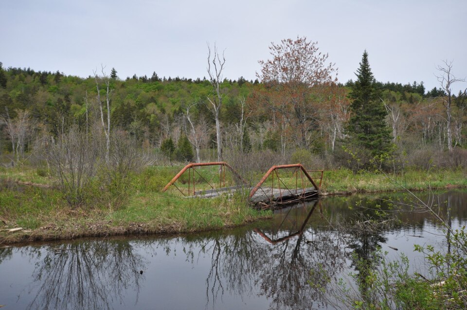Photograph of Coleman Bridge
