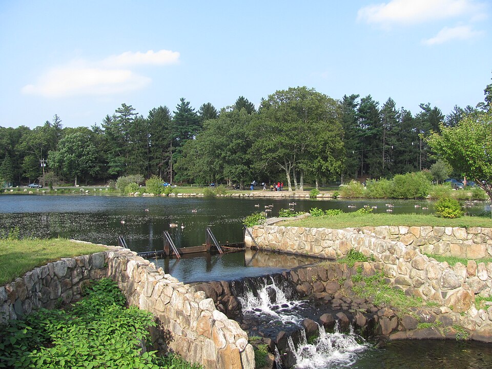 Photograph of D.W. Field Park