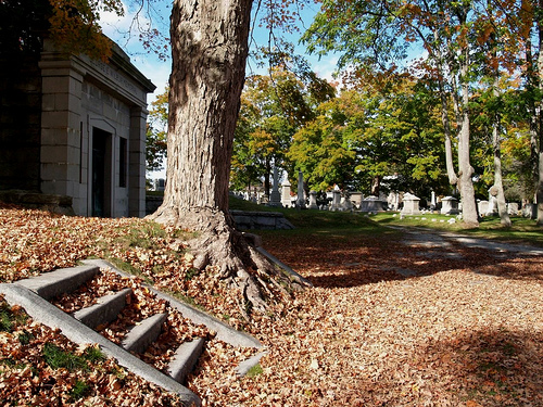 Photograph of Mount Pleasant Cemetery