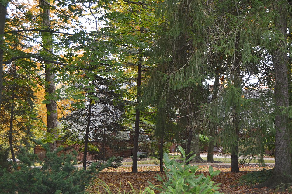 Photograph of Robert A. and Elizabeth H. Purcell House
