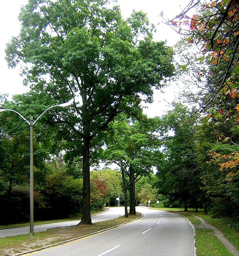Photograph of Neponset Valley Parkway