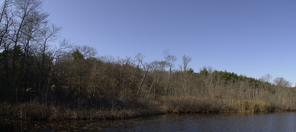 Photograph of Stony Brook Reservation Parkways