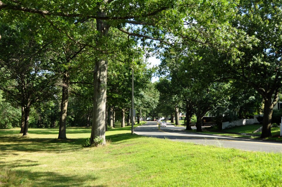 Photograph of Mystic Valley Parkway