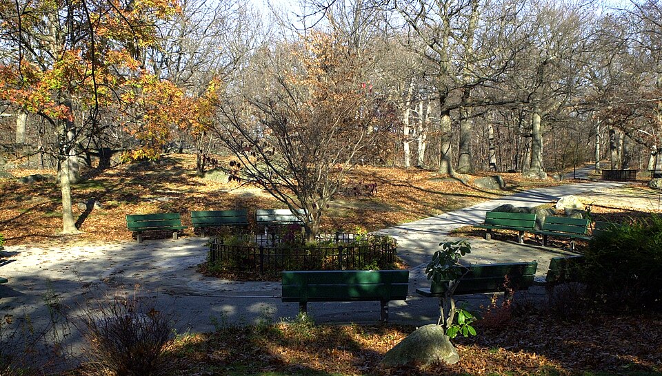 Photograph of Dorchester Park
