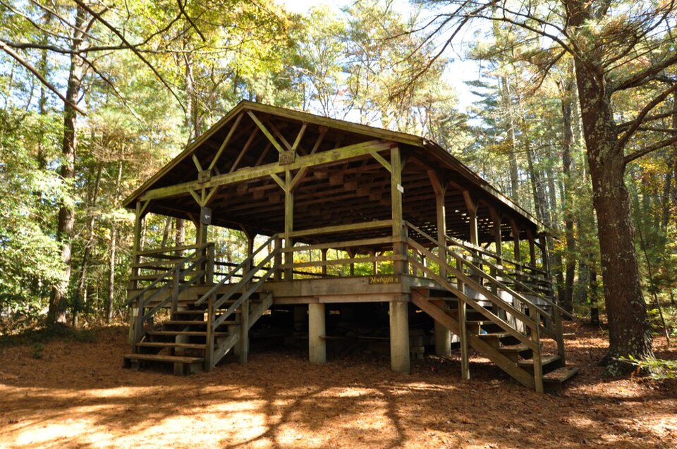 Photograph of Pinewoods Camp
