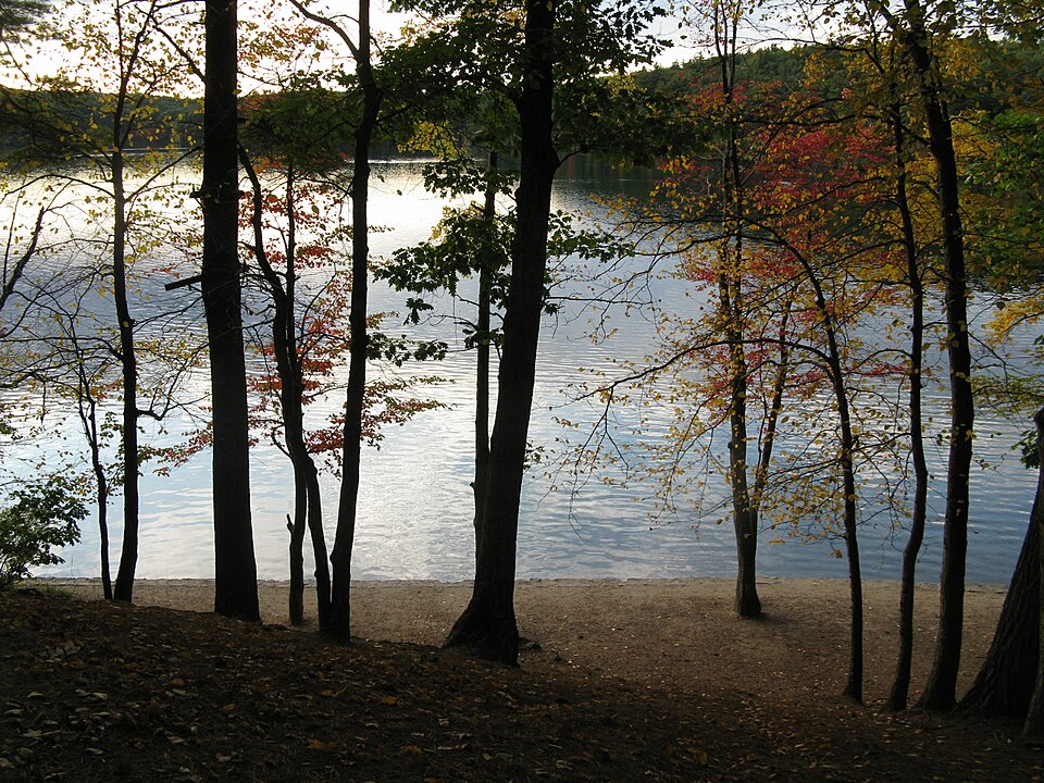Photograph of Walden Pond