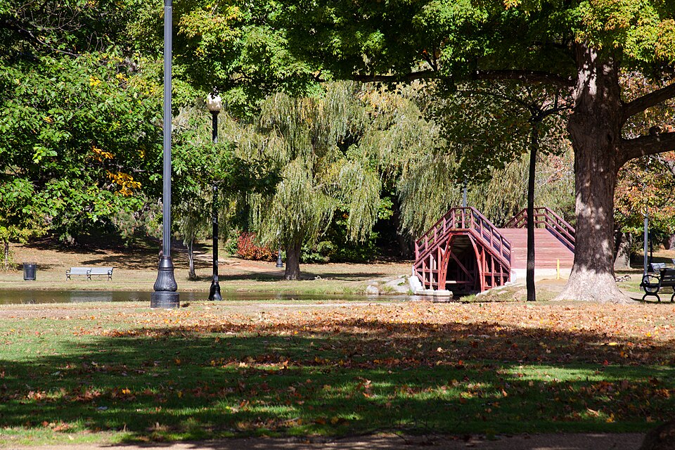 Photograph of Elm Park