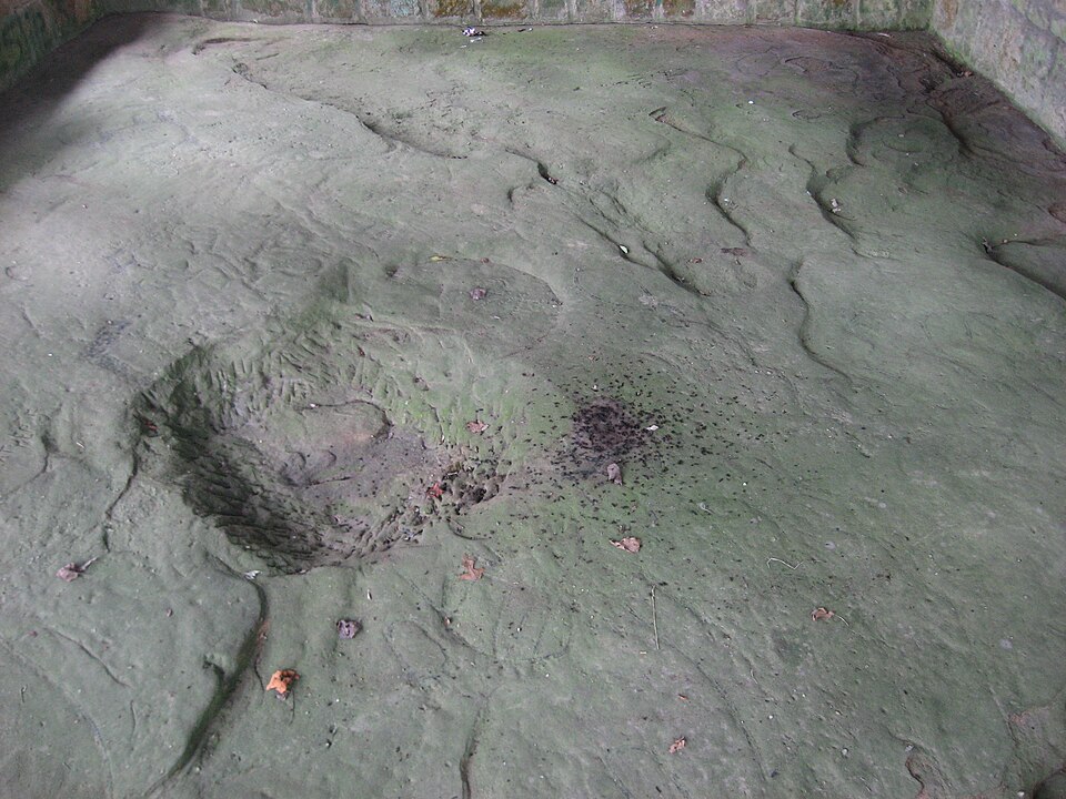 Photograph of Leo Petroglyph