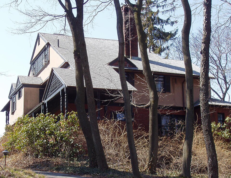 Photograph of Redtop