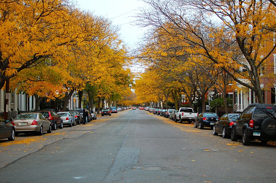 Photograph of Chestnut Street District