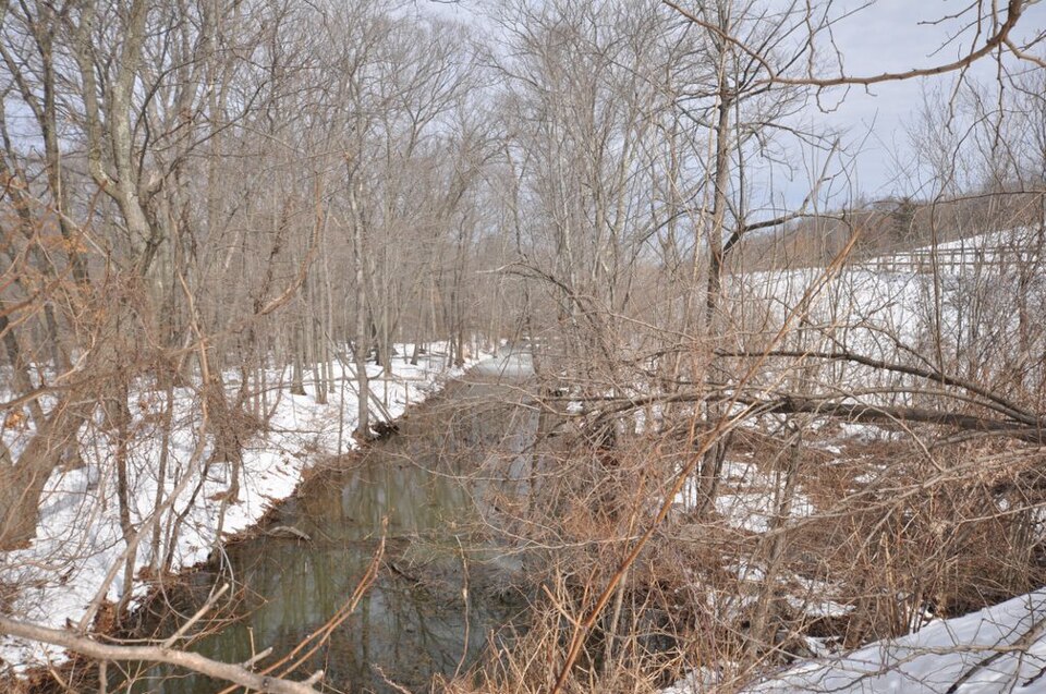 Photograph of Blackstone Canal, Massachusetts Segment