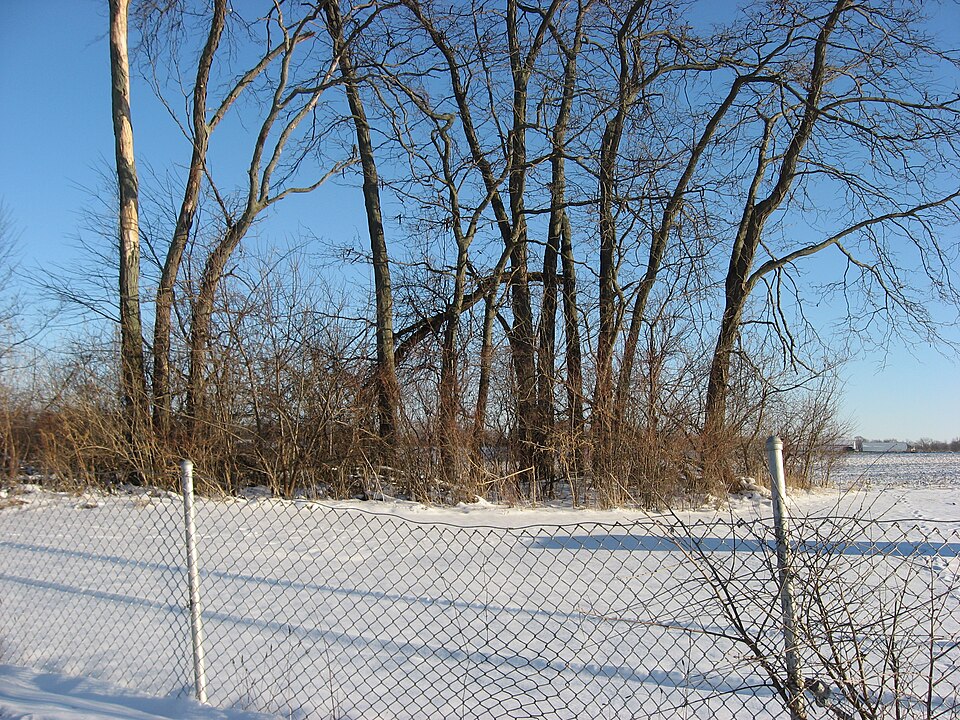 Photograph of Valentine Wilson House