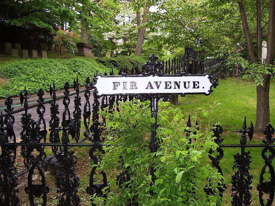 Photograph of Mount Auburn Cemetery