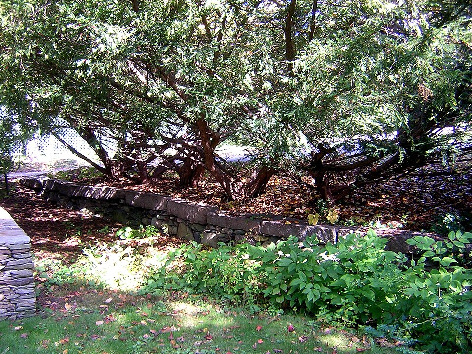 Photograph of Gov. Thomas Hutchinson's Ha-ha