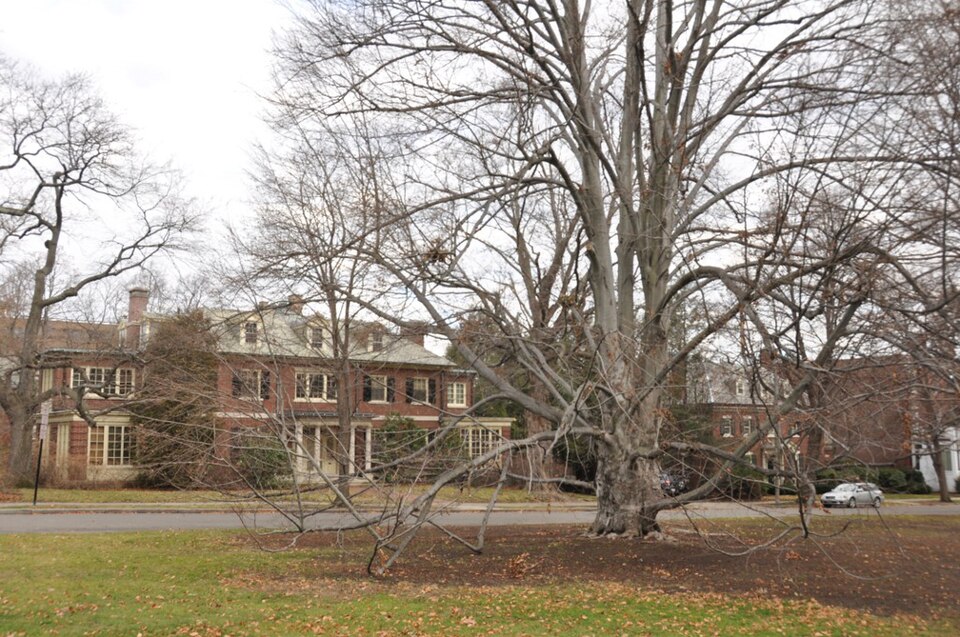 Photograph of Longwood Historic District