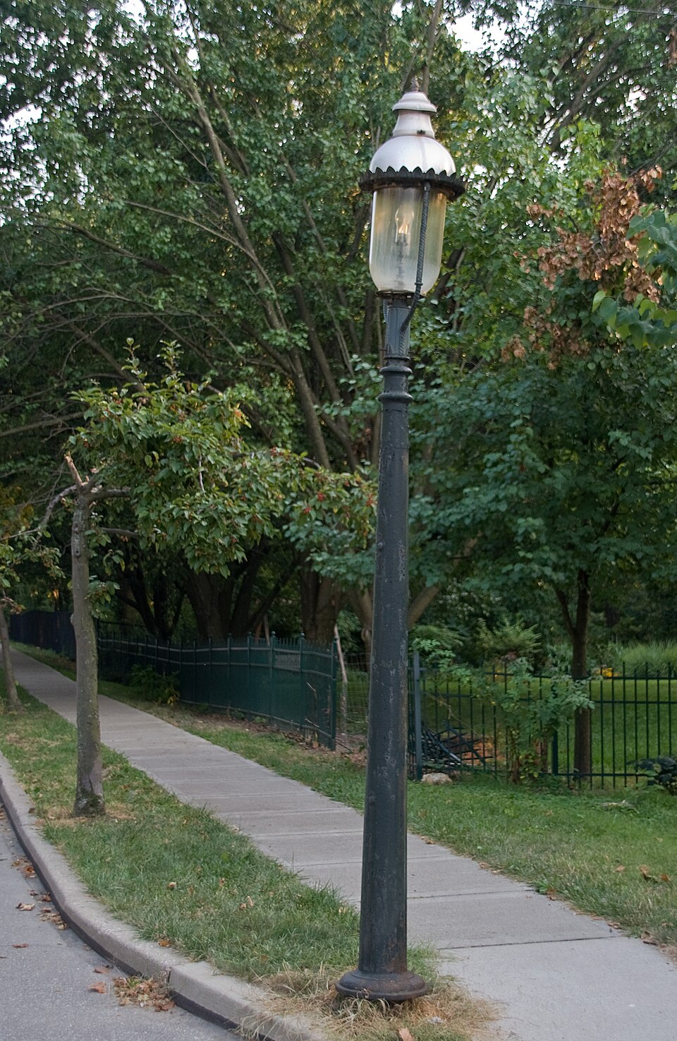 Photograph of Cincinnati Street Gas Lamps