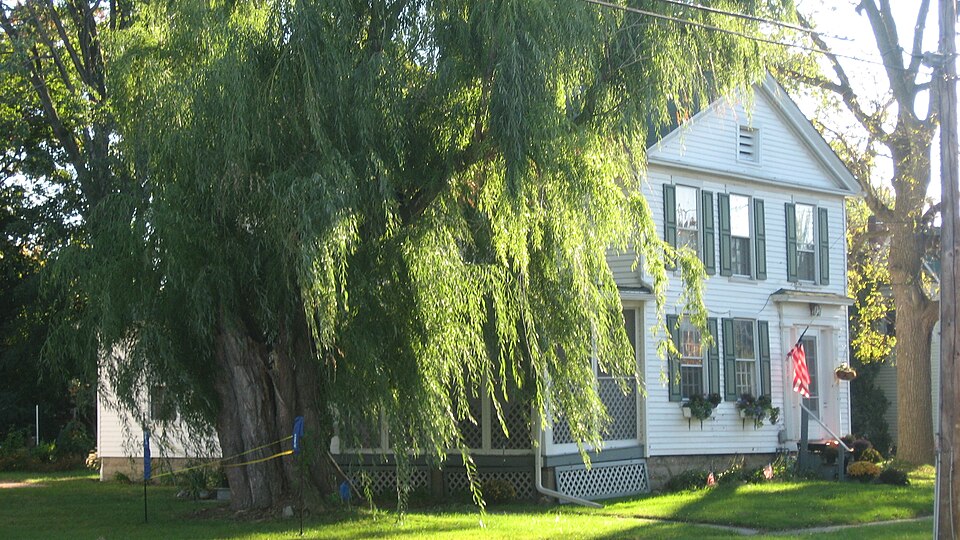 Photograph of House on Huron Avenue