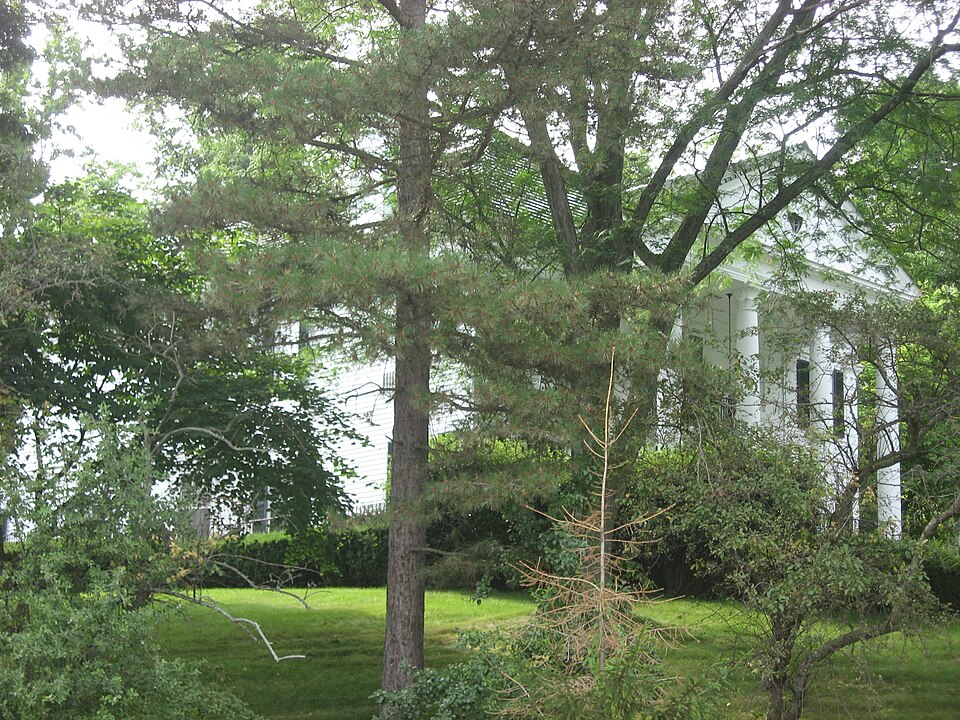 Photograph of Arrowston