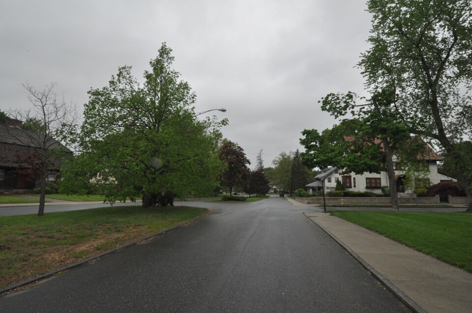 Photograph of Forest Park