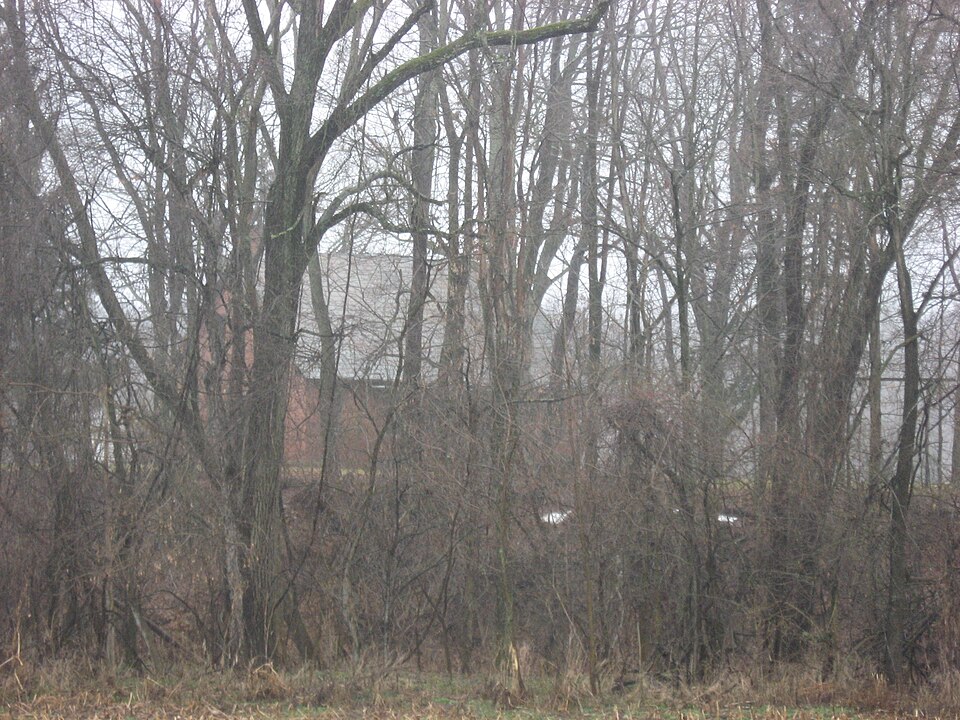 Photograph of Martin Shaub Mill Site/House