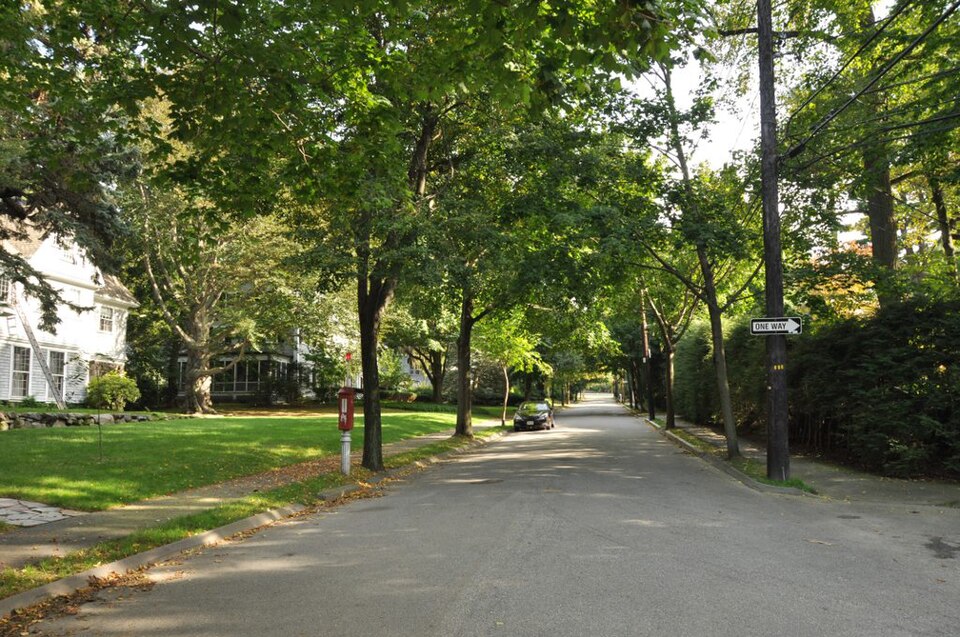 Photograph of Chestnut Hill Historic District