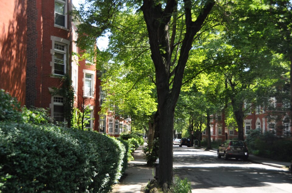 Photograph of Strathmore Road Historic District