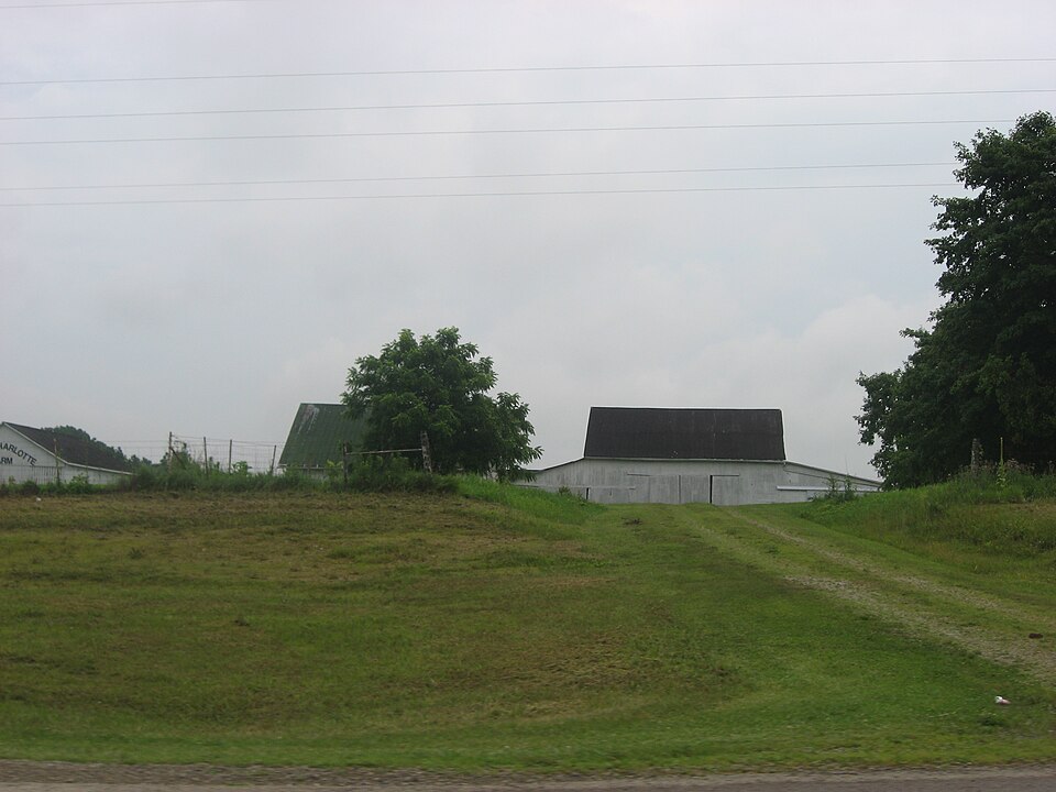 Photograph of Gill-Morris Farm