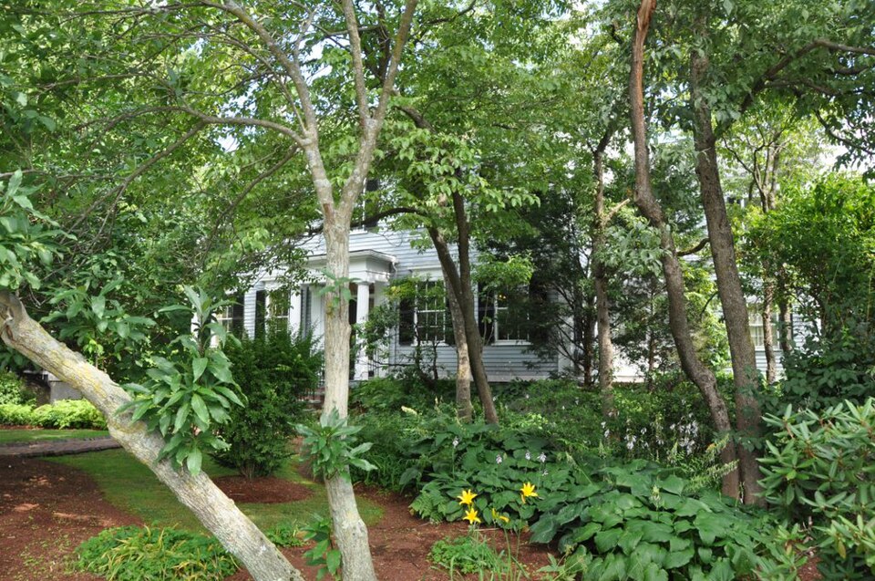 Photograph of William Curtis House