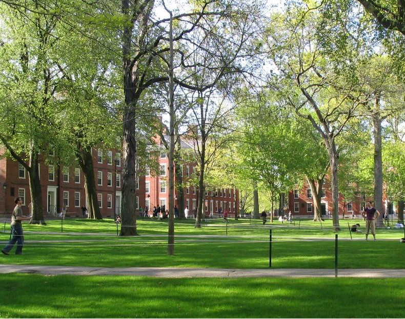 Photograph of Harvard Yard