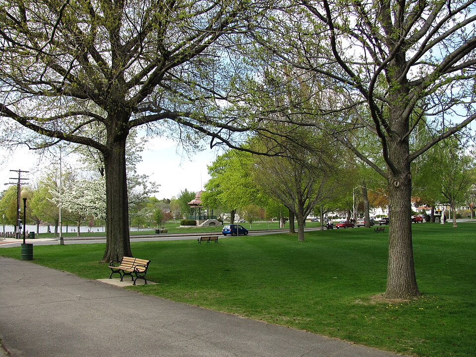 Photograph of Common District