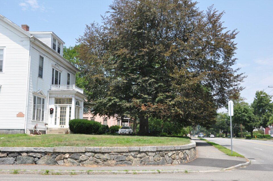 Photograph of North Lexington Street Historic District