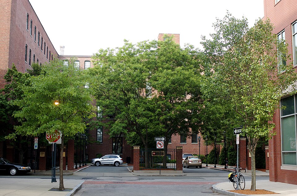 Photograph of F. A. Kennedy Steam Bakery