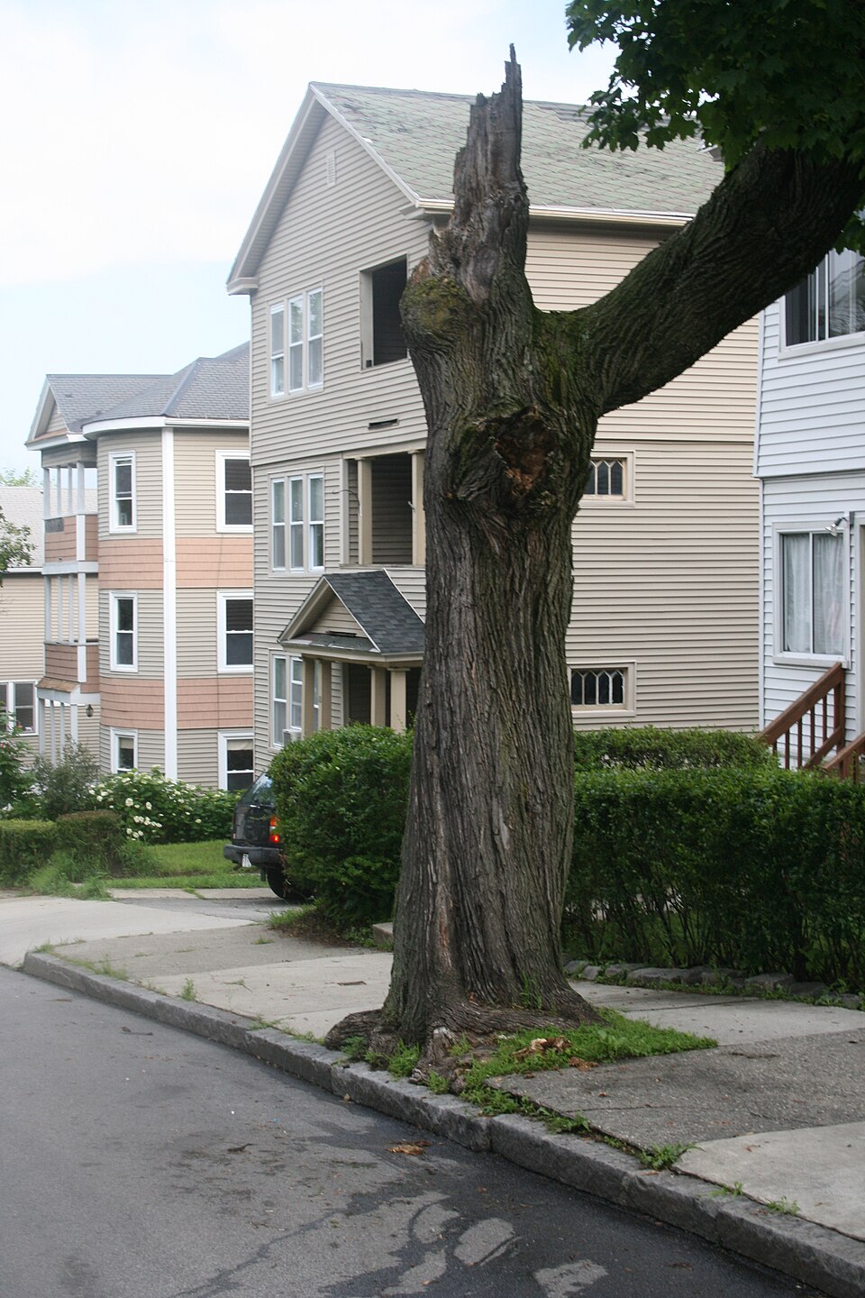 Photograph of View Street Historic District