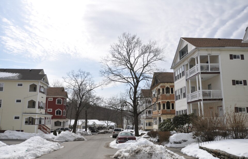 Photograph of Woodford Street Historic District