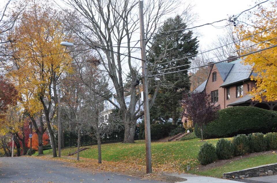 Photograph of Windsor Road Historic District