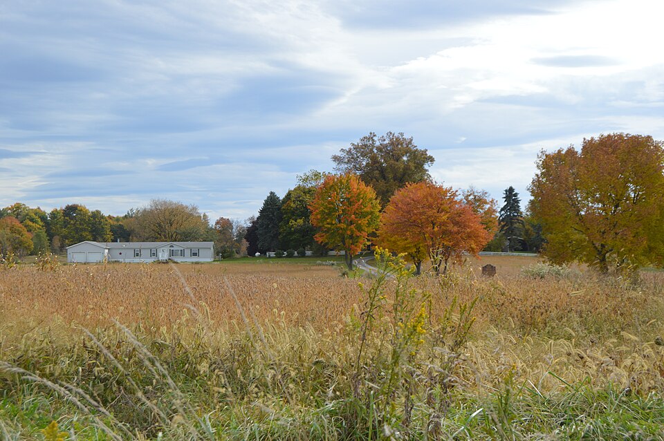 Photograph of Maple-Dell